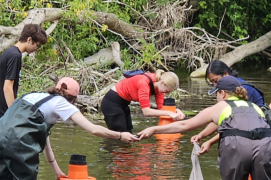 Students in a creek collecting data