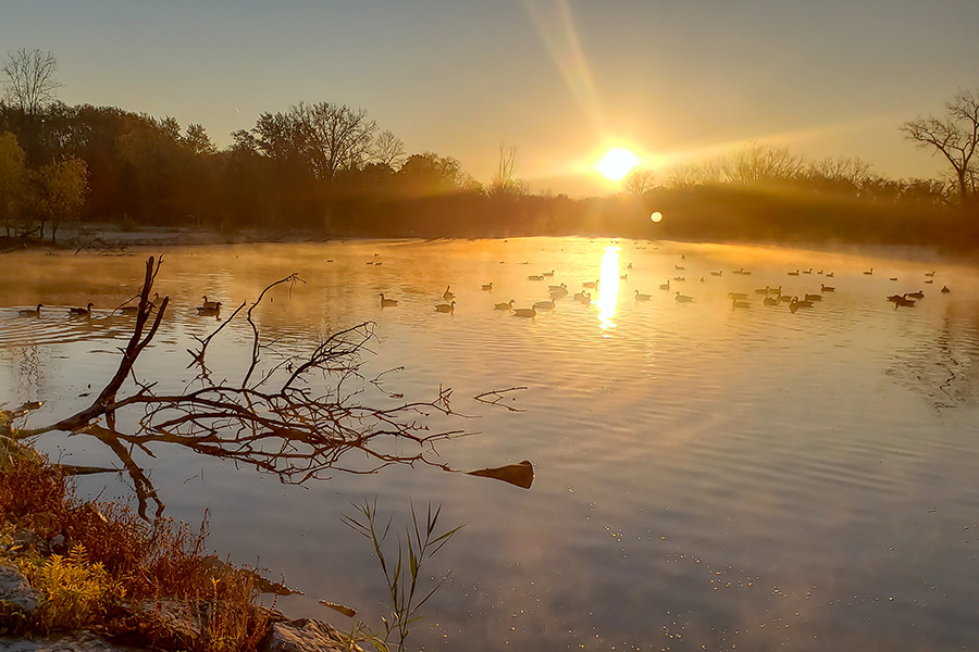 Sunrise with ducks at Wildlife Scanctuary