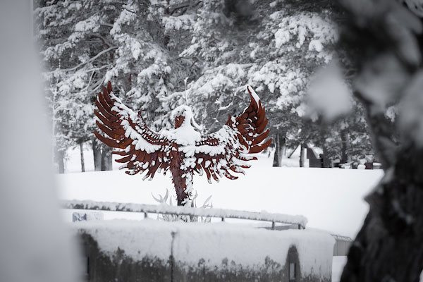 Phoenix sculpture covered in snow