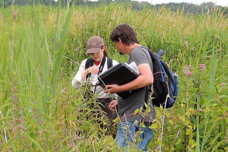 Students collecting data in a field