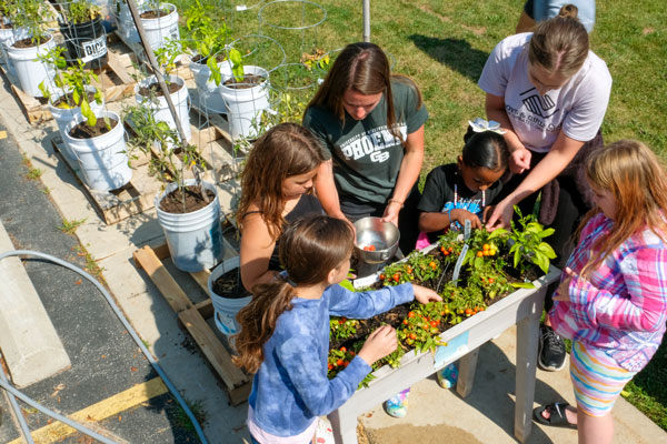 Dietetic students work on gardening with the boys and girls club