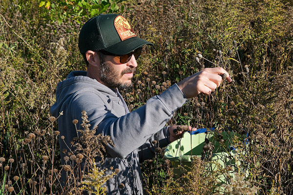 Conservationist collecting seeds