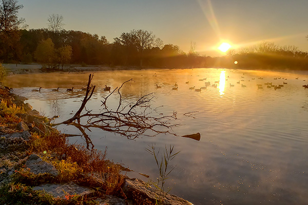 Wildlife Sanctuary sunrise