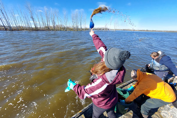 Students on boat throwing seeds in lake