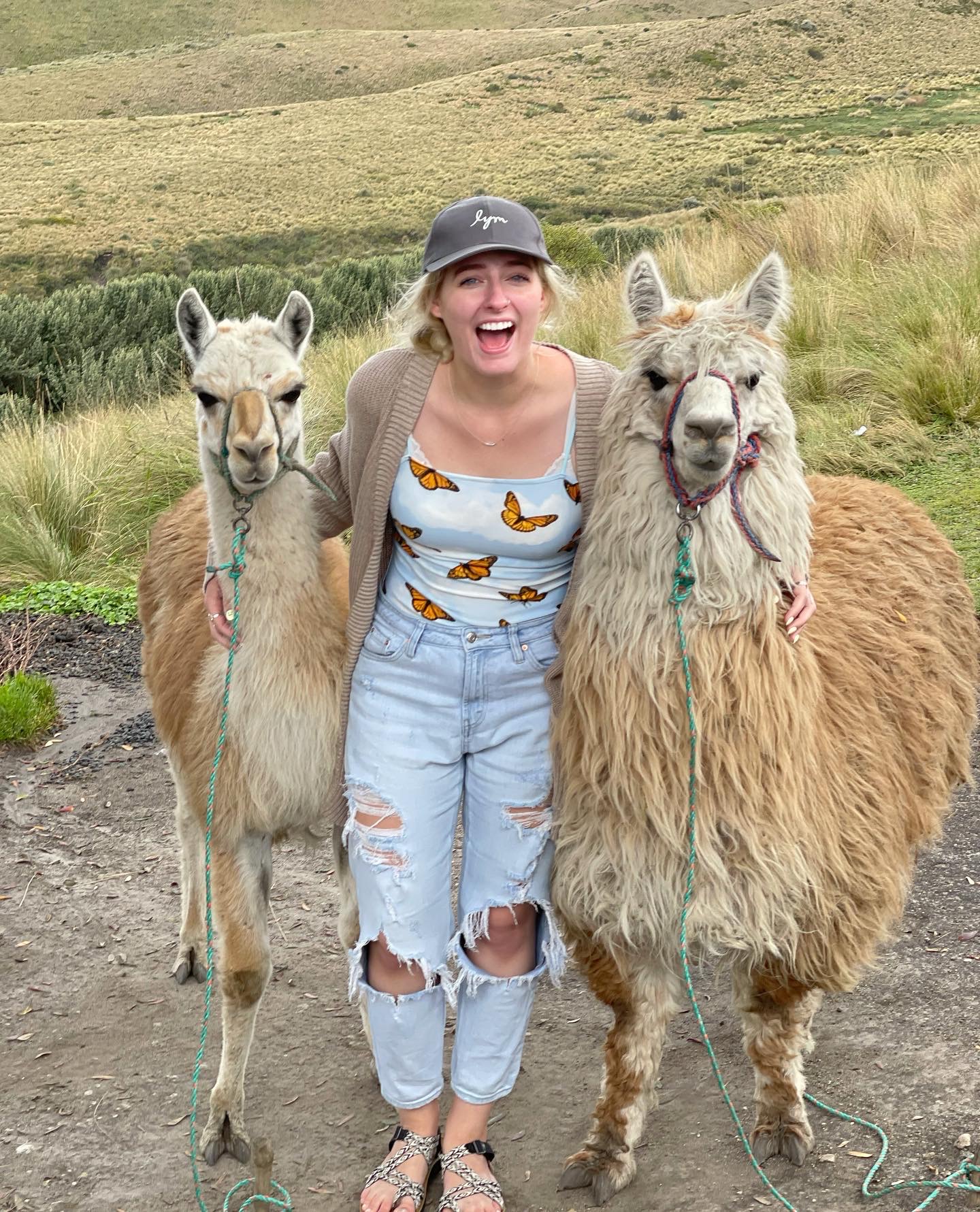 Woman posing next to two llamas