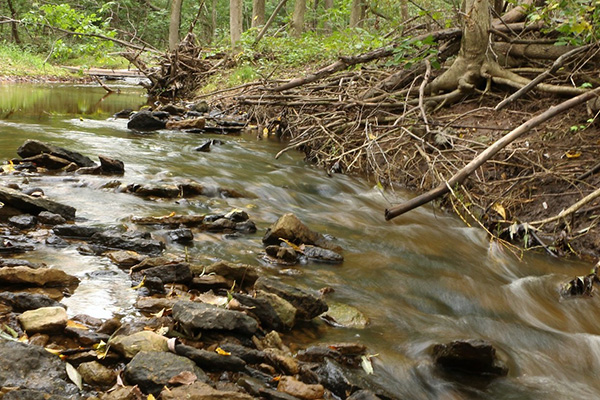 Wequiock Creek shoreline