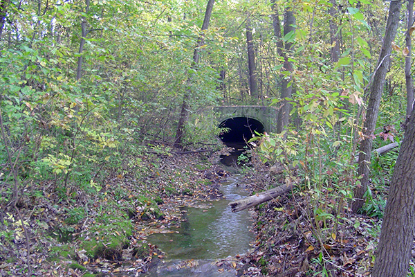 Small stream flowing into culvert