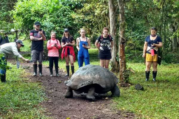 Study abroad students with big turtle in Galapagos