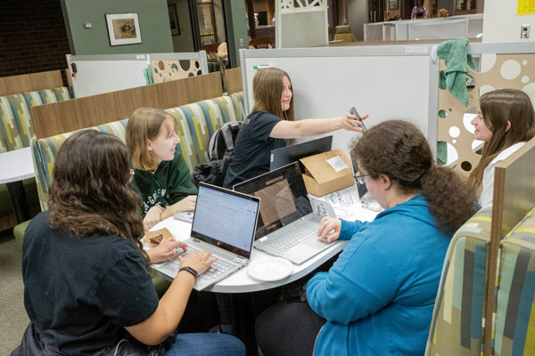 Students studying in a group