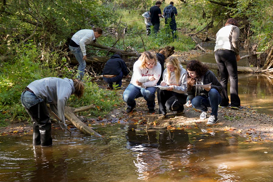 Students gathering data in a stream