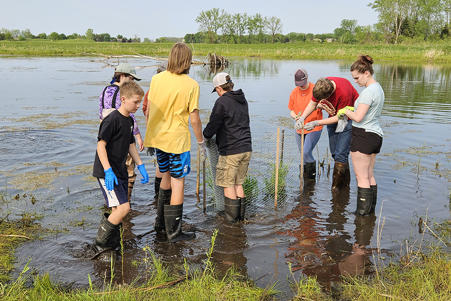 Students collecting data in shallow water