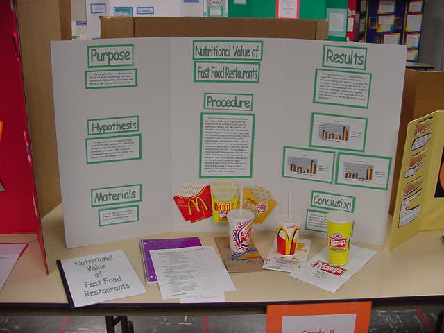 Science Fair 2003