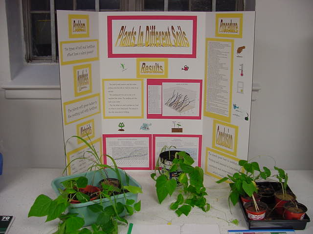 Science Fair 2003